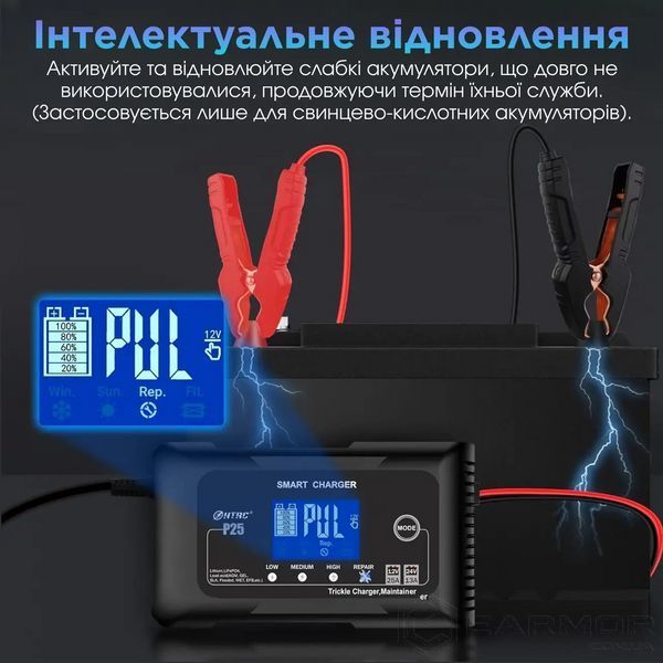 HTRC P25 Зарядное устройство 12V/24V на 25А, импульсная зарядка и восстановление для гелевых, AGM, кислотных, литиевых LiFePO4 аккумуляторов