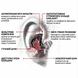 Беруші активні тактичні SureFire EarPro EP7 Sonic Defenders Black Medium